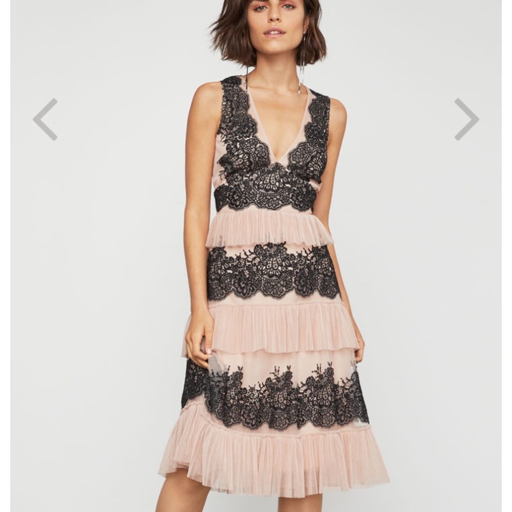 NWT BCBG Maxazria Floral Embroidered Tulle Dress